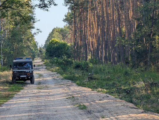 Co robią saperzy w naszych lasach?