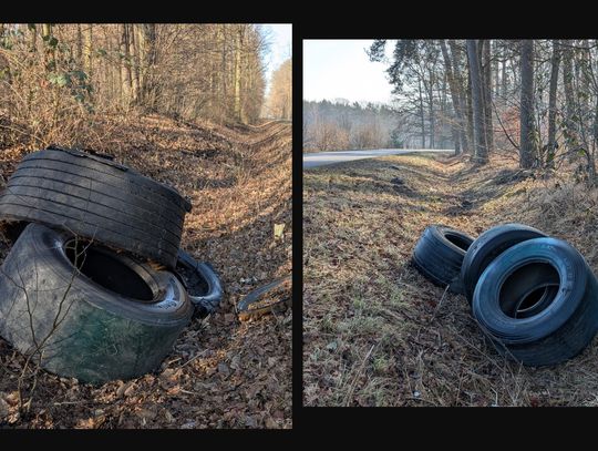 Co za chamstwo! Opony do rowu w lesie!