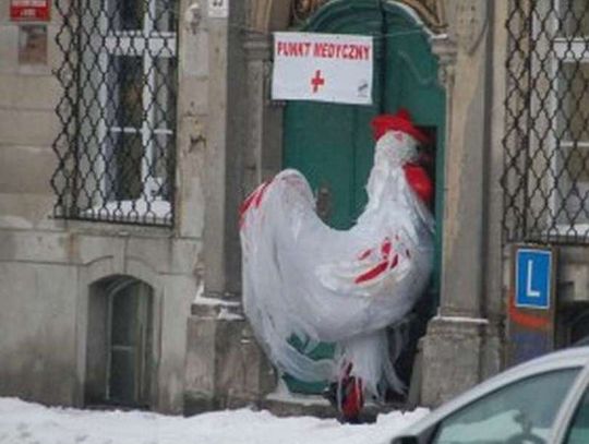 Cock czy rooster?