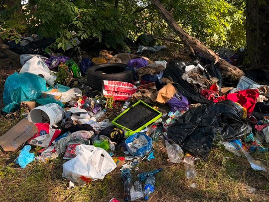 CZERWONA KARTKA dla właściciela tych śmieci