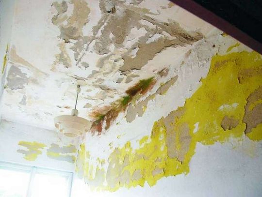 Czy jest szansa na uratowanie pałacu w Jakubowicach?