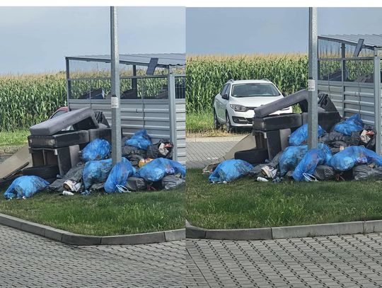 Czytelniczka proponuje MINUS, zarządca tłumaczy