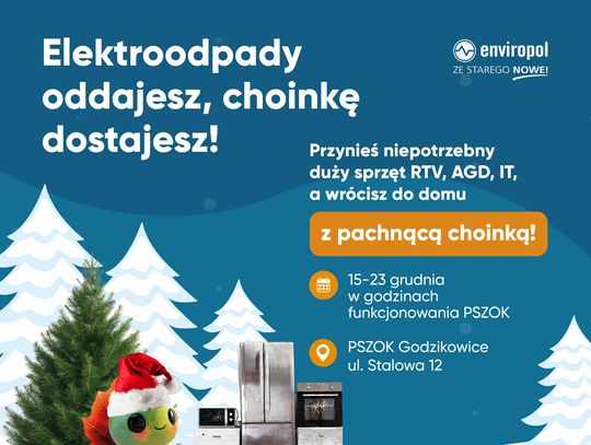 Darmowe choinki za odpady elektryczne. A ceny na 2026 za odpady?