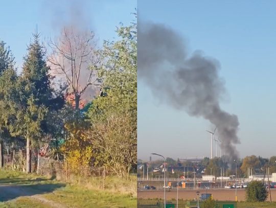 Oława. Pożar na działkach (FILMIKI)