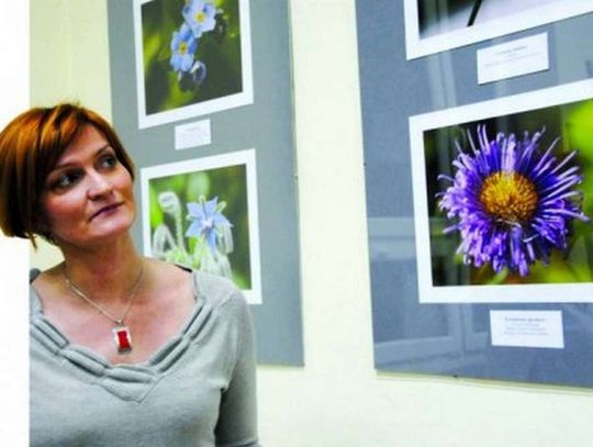 Decyzje Ślipko legalne