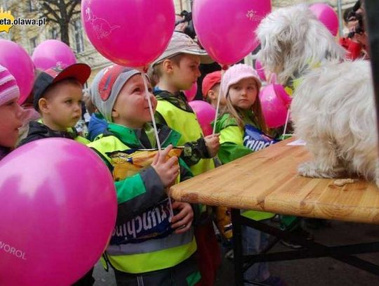 Dla dobra zwierząt