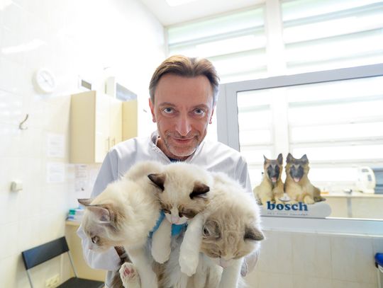 Prof. Wojciech Niżański z kotami