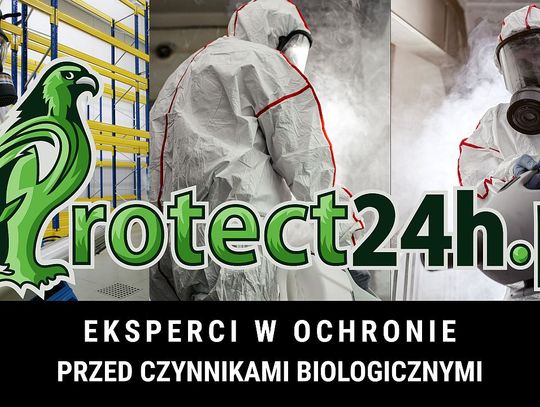 Dlaczego warto skorzystać z usług profesjonalnej firmy DDD?