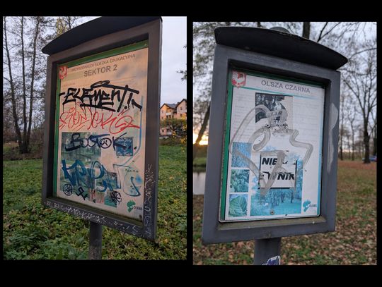 Dlaczego wszystko wokoł siebie niszczymy?