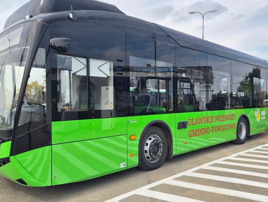 Dni Oławy - Dni Koguta 2026. Darmowa komunikacja i regulamin imprezy