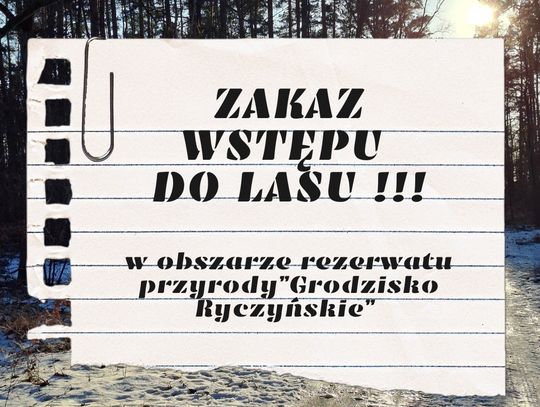 Do 31 marca obowiązuje zakaz wstępu do lasu. Gdzie i do kiedy? Do 31 marca obowiązuje zakaz wstępu do lasu. Gdzie i do kiedy?