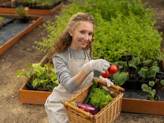 Domowa uprawa warzyw i owoców – jak zacząć bez dużego doświadczenia?