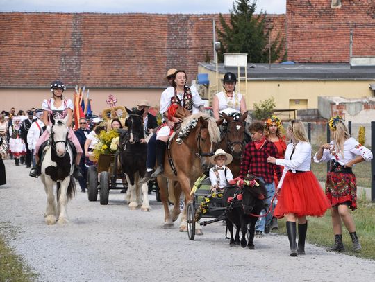 Dożynki Gminy Oława (GALERIA) Dożynki Gminy Oława (GALERIA)