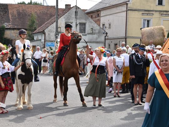 Dożynki gminy Oława w Gaju Oławskim (galeria cz.1)