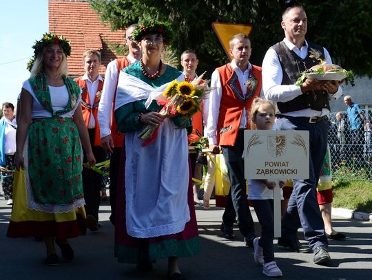 Dożynki Wojewódzkie w tym roku w Szczepanowie