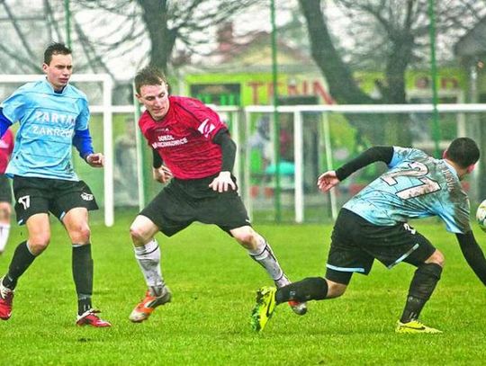 Drapieżny derbowy Sokół