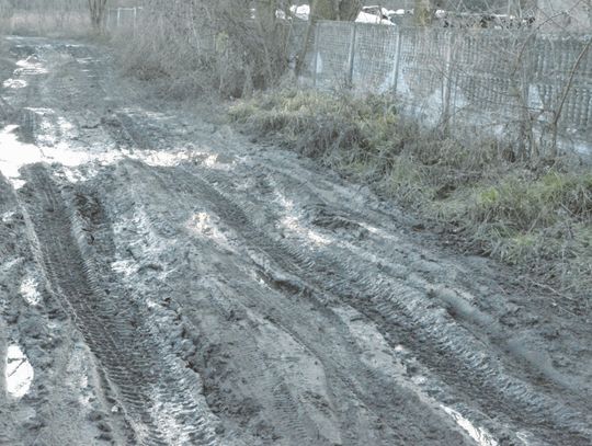 Drożej, ale lepiej?