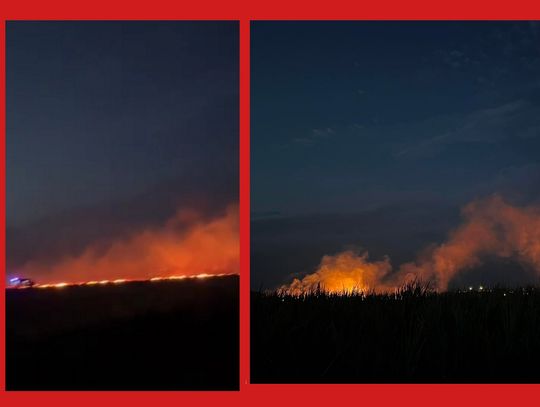 Duży pożar ścierniska. VIDEO