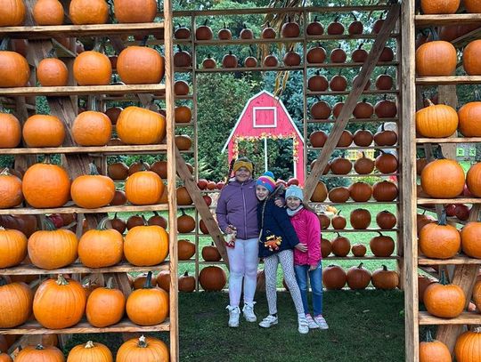 Dyniowy sezon ruszył na dobre