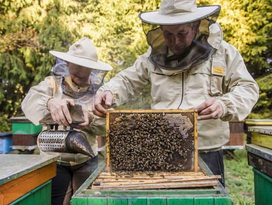 Dzień otwarty w Pszczelarskiej Zagrodzie Edukacyjnej w Ryczynie