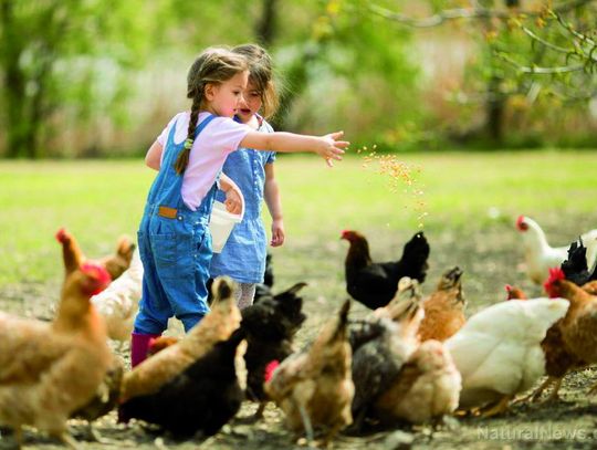 Dzień otwarty w Zagrodzie Edukacyjnej Ranczo Gać
