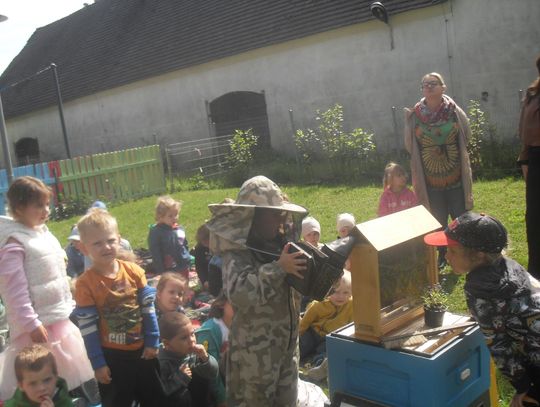 Dzień Pszczoły Mikołajka