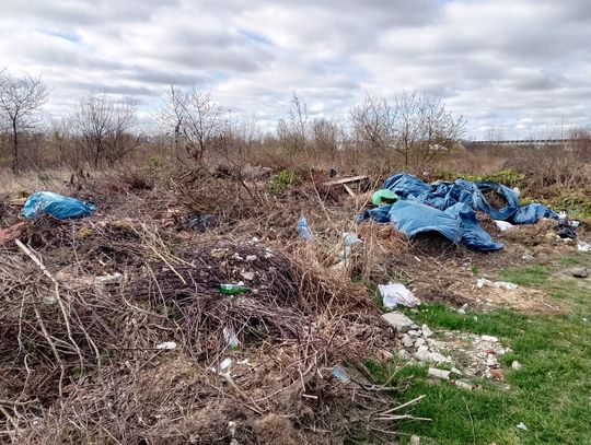 Dzikie wysypisko przy działkach