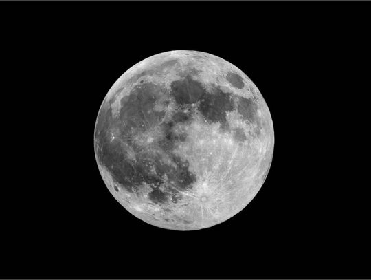 Dziś wieczorem Wilczy Księżyc