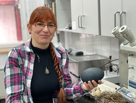 dr Joanna Rosenberger