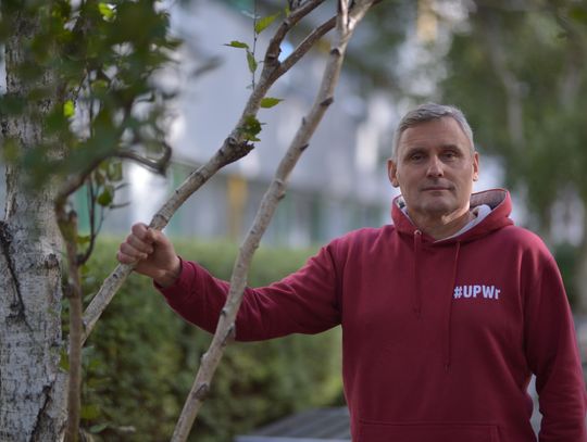 Ekspert UPWr: - Drzewa gubią liście, by przetrwać zimę