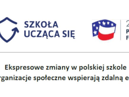 Ekspresowe zmiany w polskiej szkole – jak organizacje społeczne wspierają zdalną edukację