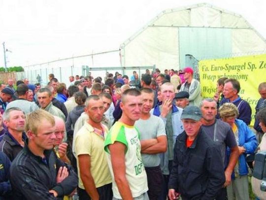 "Euro-spargel" po kontroli