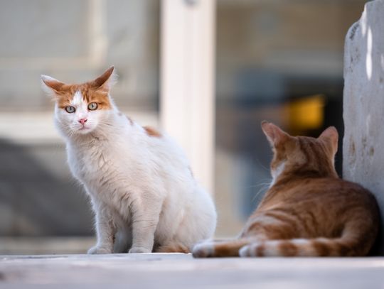 Ewa Wawer: - Odbiłam się od ściany bezduszności urzędników Ewa Wawer: - Odbiłam się od ściany bezduszności urzędników