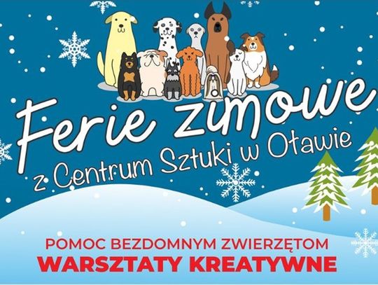 FERIE ZIMOWE Z CENTRUM SZTUKI W OŁAWIE – POMOC BEZDOMNYM ZWIERZĘTOM