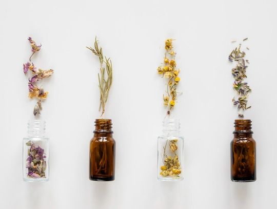 Francuskie czy amerykańskie – różnice w podejściu do smaku