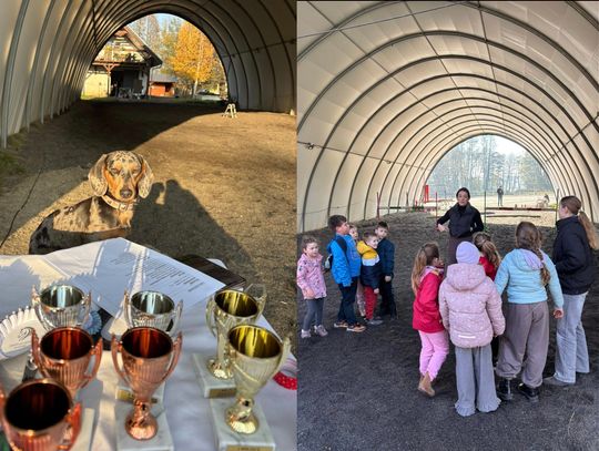 Fundacja Ranczo Gać zaprasza na bezpłatne wydarzenie