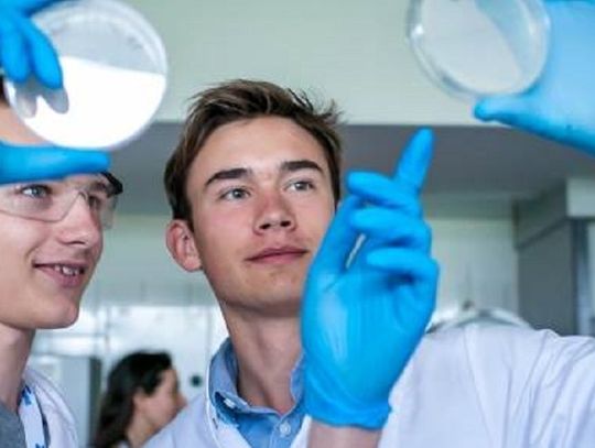 Gra o stypendium i udział w obozie naukowym ADAMED SmartUP