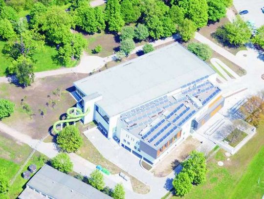 Gronkowiec kontra basen - runda druga