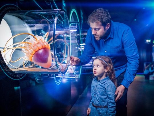 Hydropolis świętuje 10-lecie! Oto 10 powodów, dla których musisz je odwiedzić Hydropolis świętuje 10-lecie! Oto 10 powodów, dla których musisz je odwiedzić