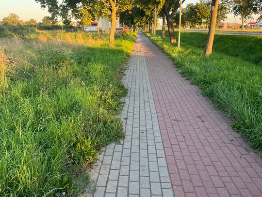 I znów te zarośnięte chodniki! Tym razem przy drodze