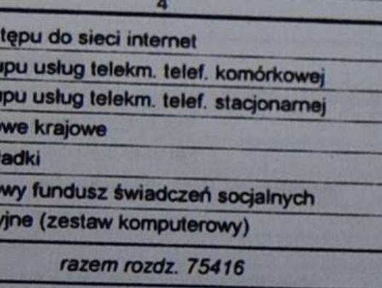 Ile kosztuje straż miejska?