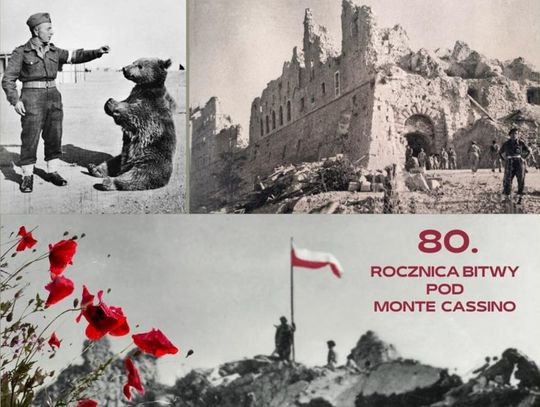 Interaktywne świętowanie 80. rocznicy bitwy pod Monte Cassino