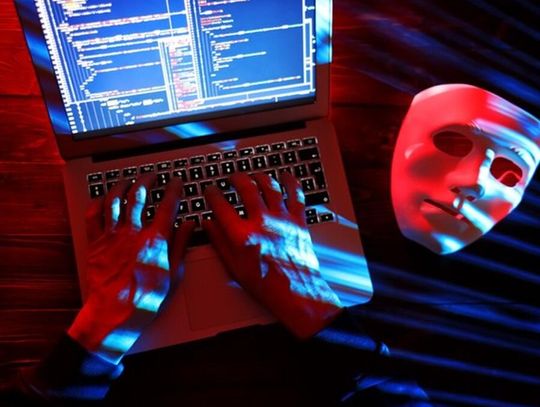 Internetowi oszuści nie śpią. Kolejne osoby pokrzywdzone Internetowi oszuści nie śpią. Kolejne osoby pokrzywdzone