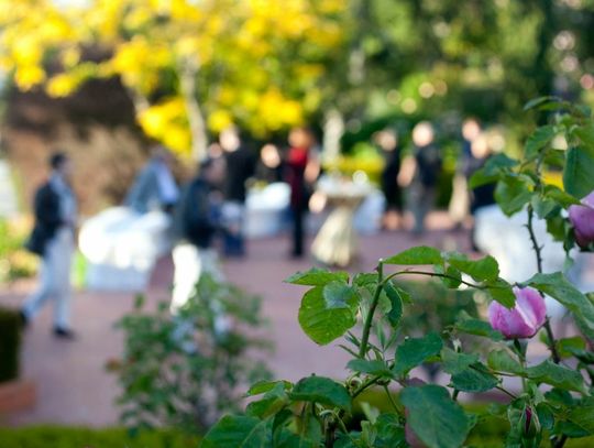 Jak przygotować stylowe garden party?