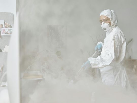 Jak skutecznie zwalczać szkodniki w przemyśle spożywczym?