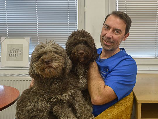 Co zmienia się w mózgu zakochanego psa? Co zmienia się w mózgu zakochanego psa?