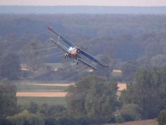 Jelcz-Laskowice. UWAGA! Jutro odkomarzanie!