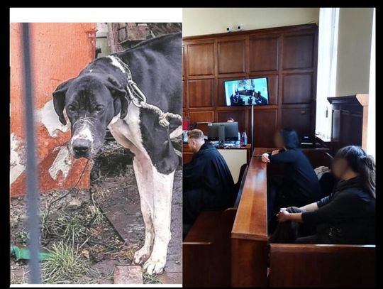 Jest apelacja. Obrońca Karoliny P. wnosi o jej uniewinnienie