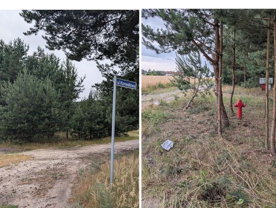 Jest reakcja - hydrant już widoczny