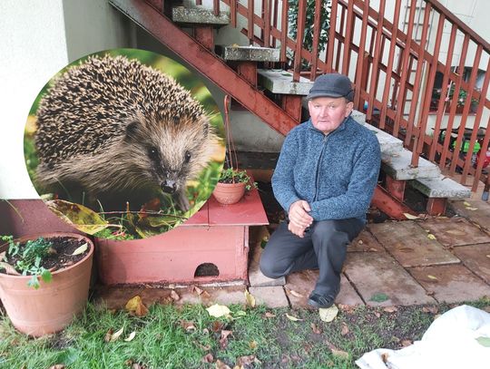 Jeże mają swój dom na plebanii